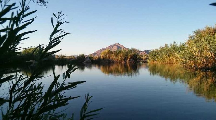 Escaping the Neon Glow: Unwinding in Las Vegas’s Serene Parks and Nature Havens