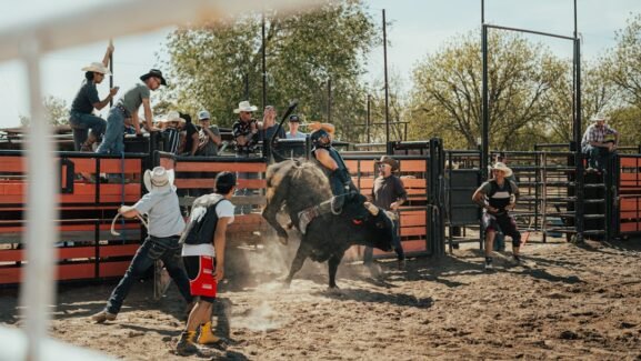 Bull rider holding on during a rodeo bull ride; illustrative photo, not from the 2026 PBR Teams Championship