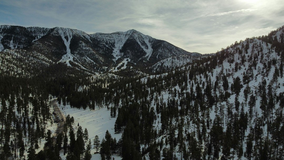 Snow-covered slopes and trees in the Spring Mountains near Mount Charleston