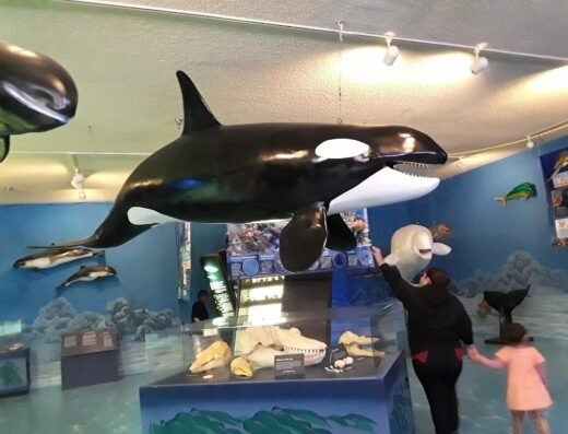 Las Vegas Science & Natural History Museum