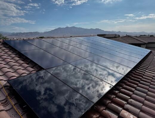 Wow Solar Cleaning And Bird Prevention