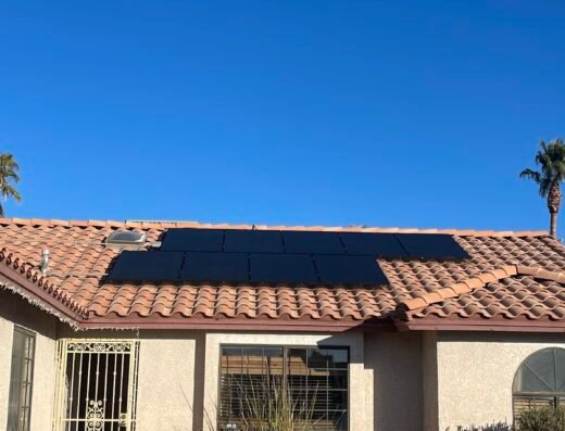 Wow Solar Cleaning And Bird Prevention