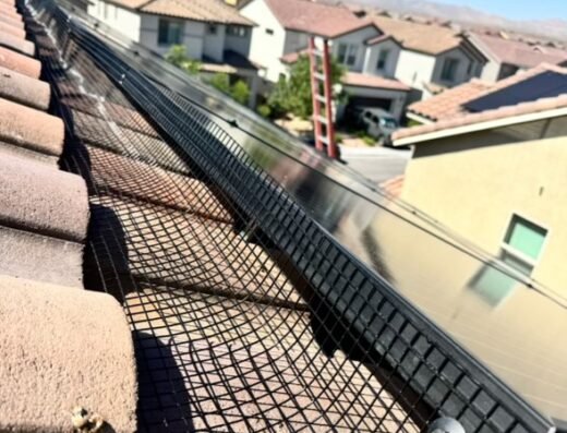 Wow Solar Cleaning And Bird Prevention