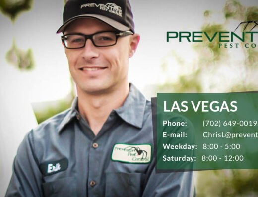 Preventive Pest Control Las Vegas