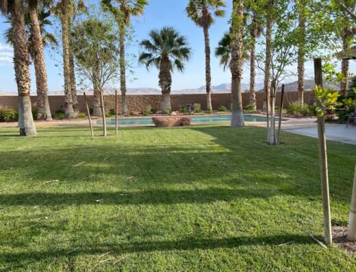 Las Vegas Desert Sprinkler Repair