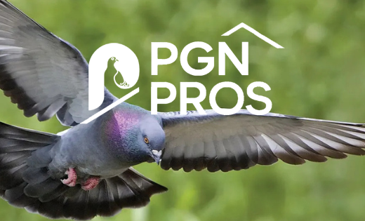 PGN PROS
