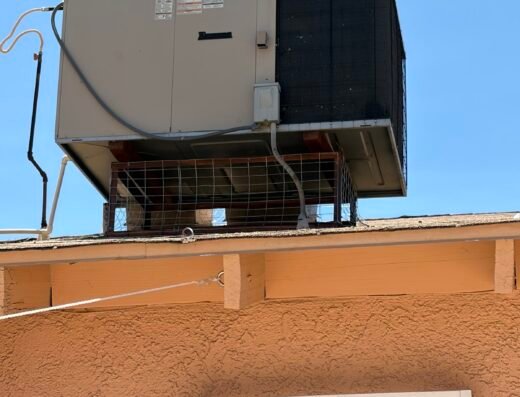 Complete Pigeon Control / Complete Turf Control