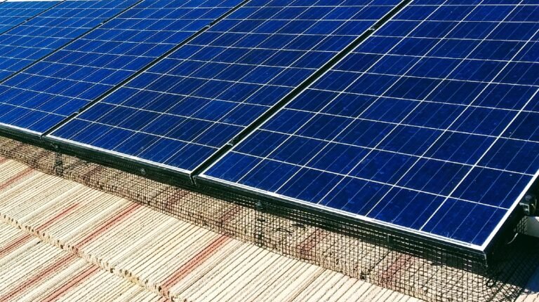 Solar Protect – Las Vegas Solar Panel Cleaning, Pigeon and Bird Proofing Company