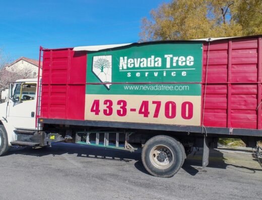 Nevada Tree Service