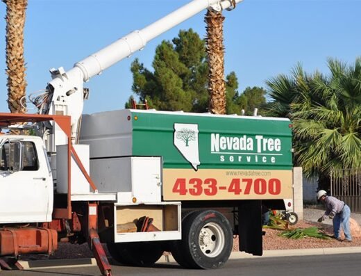 Nevada Tree Service