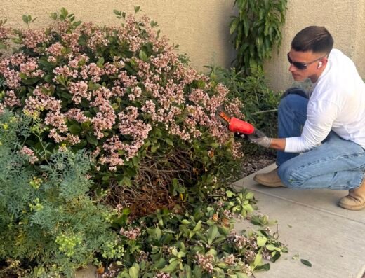 Landscape Care LV
