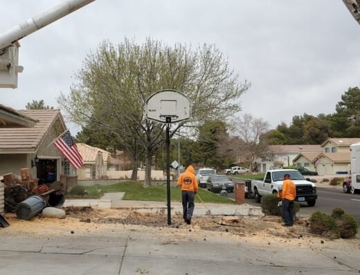 Affordable Tree Service