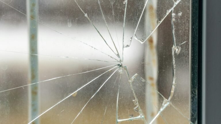 Delux Windows and Glass