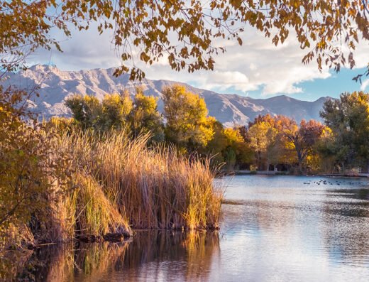 Floyd Lamb Park