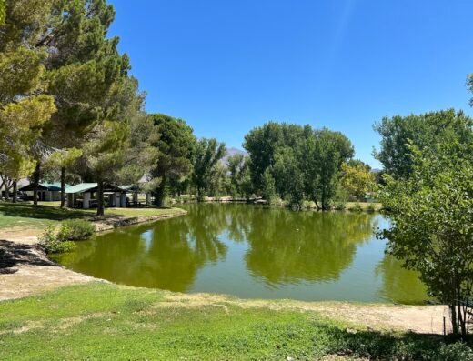 Floyd Lamb Park