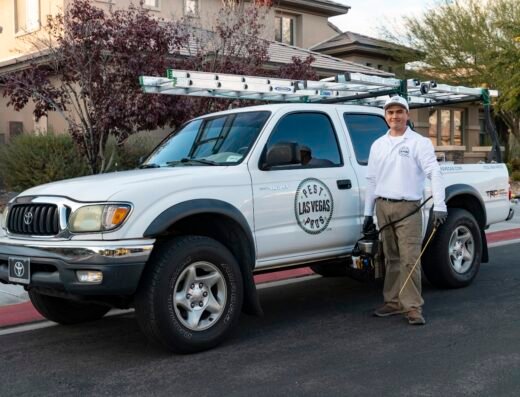 Pest Pros Las Vegas