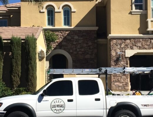 Pest Pros Las Vegas