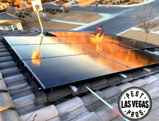 Pest Pros Las Vegas