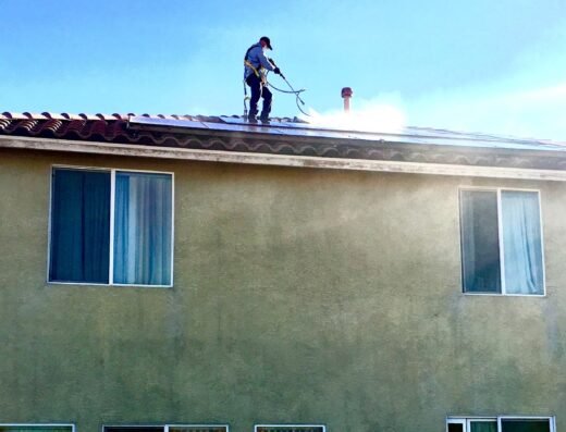 Xtreme Pigeon Control