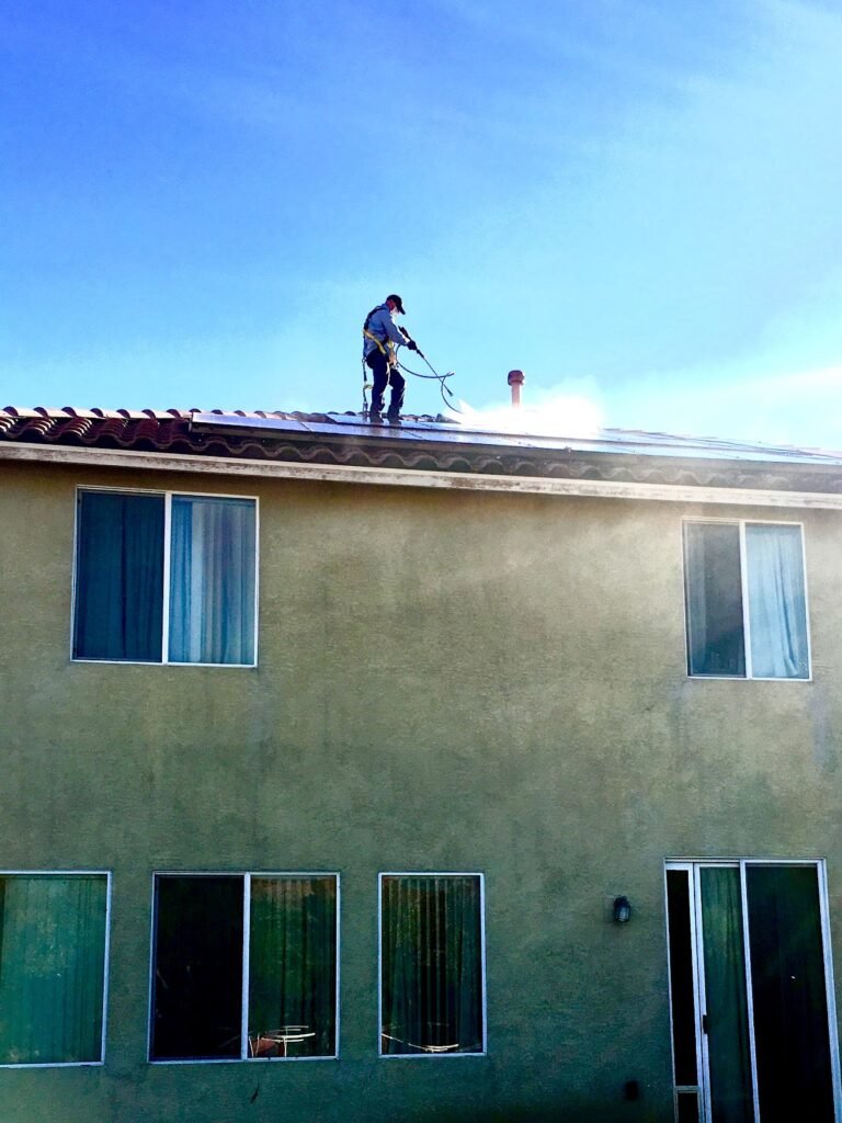 Xtreme Pigeon Control