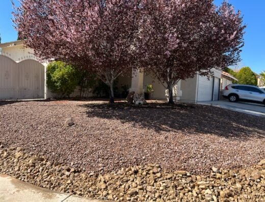 Ugarte Landscapes & Irrigation Repair