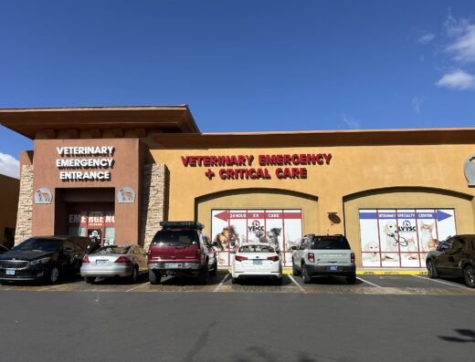 Veterinary Emergency + Critical Care