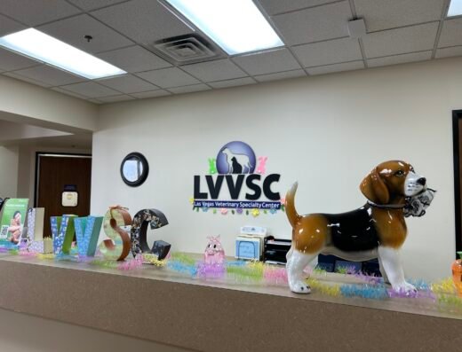 Las Vegas Veterinary Specialty Center
