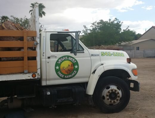 Vegas Best Tree Service – Tree Removal, Trimming & Stump Grinding