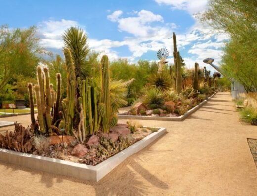Springs Preserve