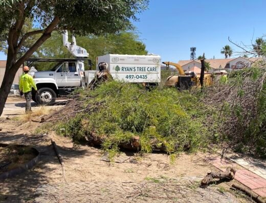 Ryans Tree Care LLC