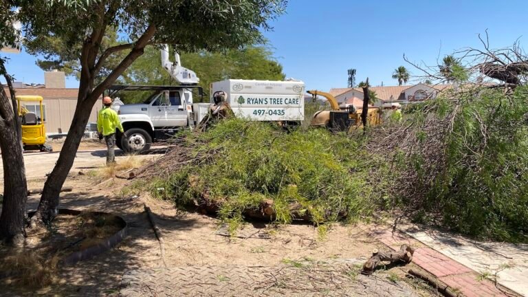 Ryans Tree Care LLC