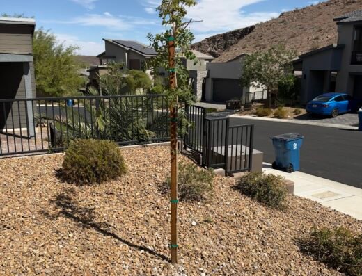 LandTeck Inc. Landscape & Irrigation Contractor