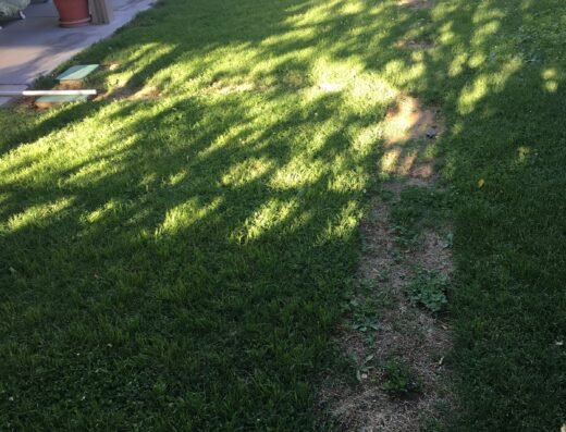 Affordable Sprinkler Repair LLC