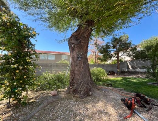 Green Man Tree Service