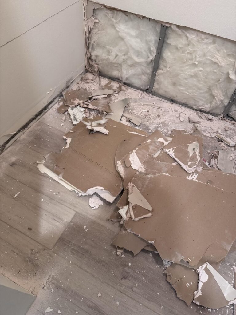 Water Damage Professionals
