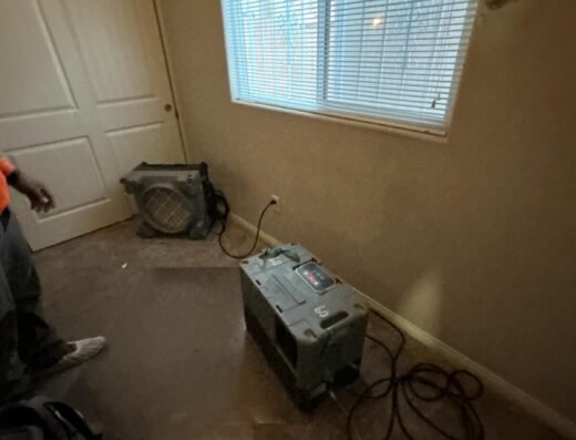 Water Damage Professionals