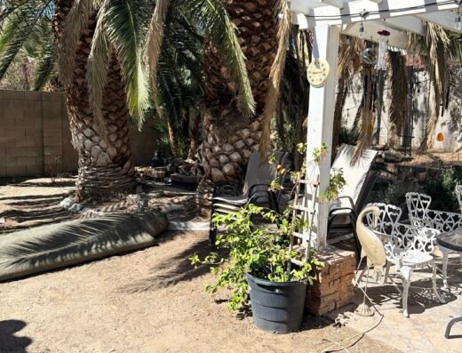 Prime Pest Control Las Vegas